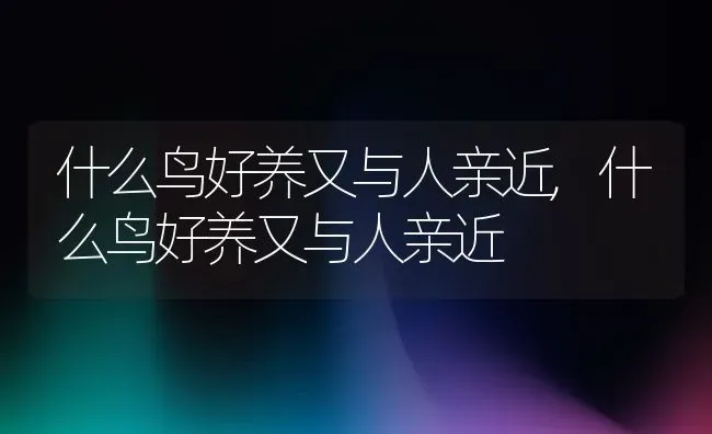 什么鸟好养又与人亲近,什么鸟好养又与人亲近 | 养殖常见问题