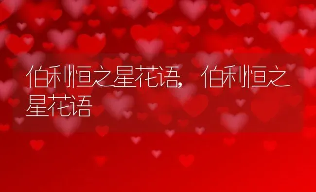 伯利恒之星花语,伯利恒之星花语 | 养殖常见问题