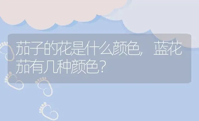 茄子的花是什么颜色,蓝花茄有几种颜色？ | 养殖常见问题