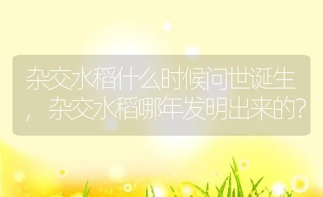 文竹可以晒太阳吗,文竹太阳能晒吗？ | 养殖常见问题
