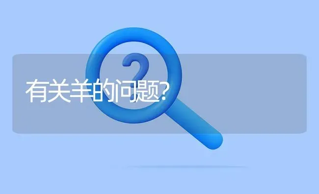 有关羊的问题? | 养殖问题解答
