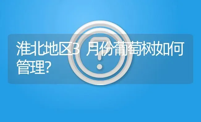 淮北地区3月份葡萄树如何管理? | 养殖问题解答