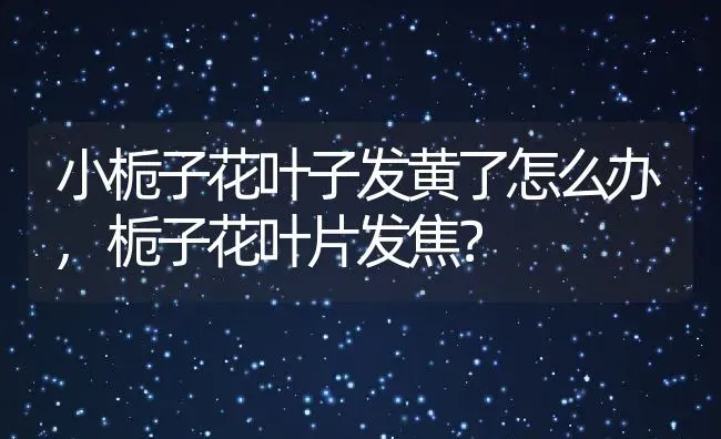 小栀子花叶子发黄了怎么办,栀子花叶片发焦？ | 养殖常见问题