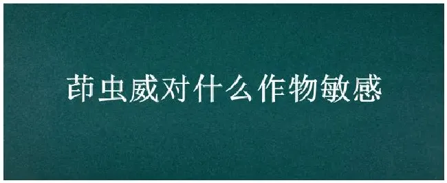 茚虫威对什么作物敏感 | 生活常识