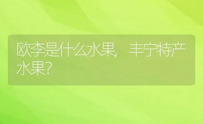 欧李是什么水果,丰宁特产水果？ | 养殖常见问题