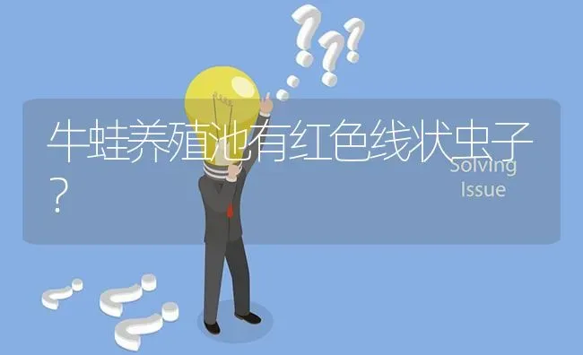 牛蛙养殖池有红色线状虫子? | 养殖问题解答