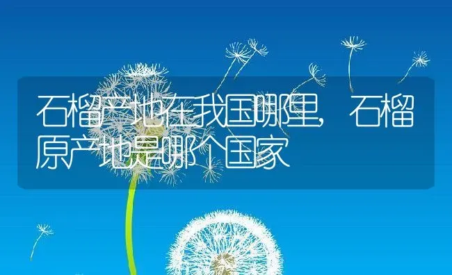 缠枝牡丹为什么不开花,缠枝牡丹为什么不开花 | 养殖常见问题