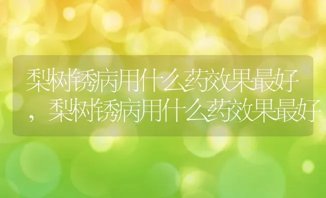 梨树锈病用什么药效果最好,梨树锈病用什么药效果最好 | 养殖常见问题