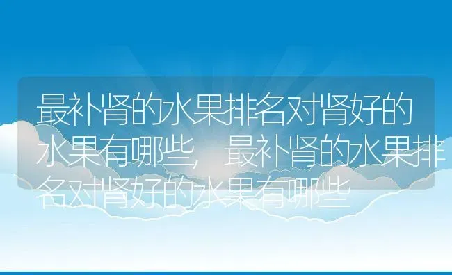 最补肾的水果排名对肾好的水果有哪些,最补肾的水果排名对肾好的水果有哪些 | 养殖常见问题