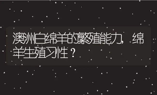 澳洲白绵羊的繁殖能力,绵羊生殖习性？ | 养殖常见问题