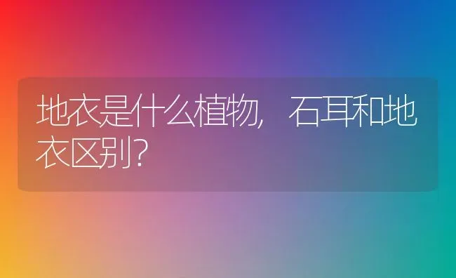 地衣是什么植物,石耳和地衣区别？ | 养殖常见问题