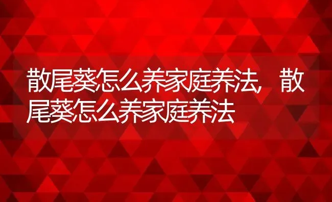 散尾葵怎么养家庭养法,散尾葵怎么养家庭养法 | 养殖常见问题