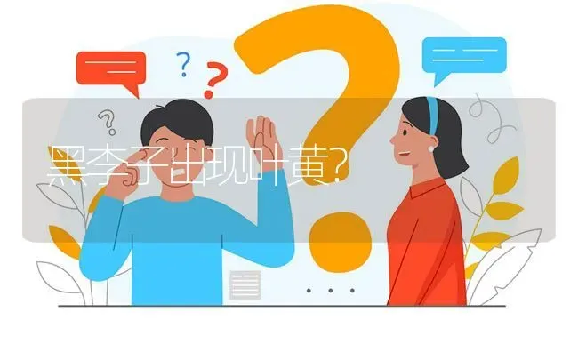 黑李子出现叶黄? | 养殖问题解答