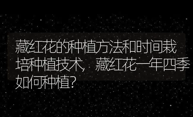 藏红花的种植方法和时间栽培种植技术,藏红花一年四季如何种植？ | 养殖常见问题