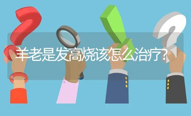 羊老是发高烧该怎么治疗? | 养殖问题解答