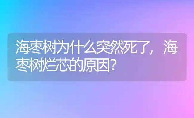 海枣树为什么突然死了,海枣树烂芯的原因？ | 养殖常见问题