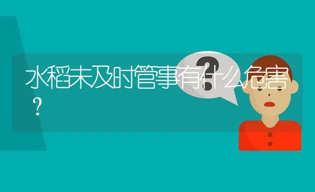 水稻未及时管事有什么危害? | 养殖问题解答