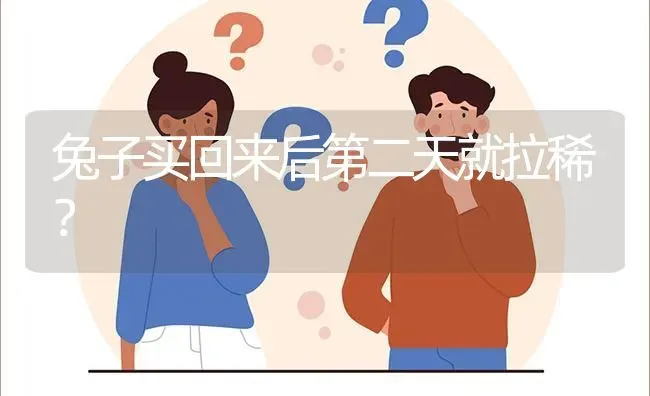 兔子买回来后第二天就拉稀? | 养殖问题解答