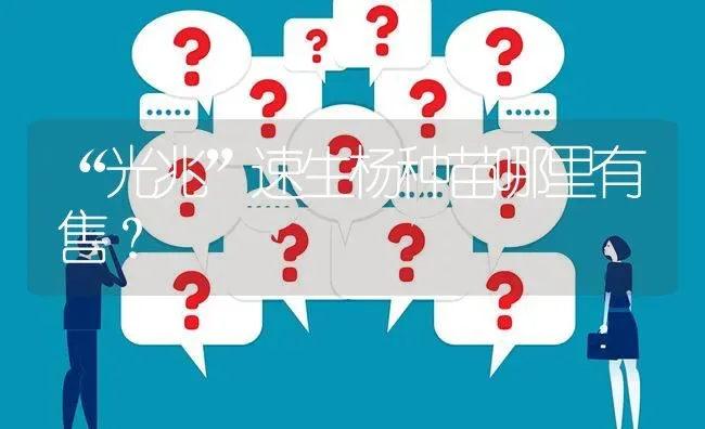 “光兆”速生杨种苗哪里有售? | 养殖问题解答