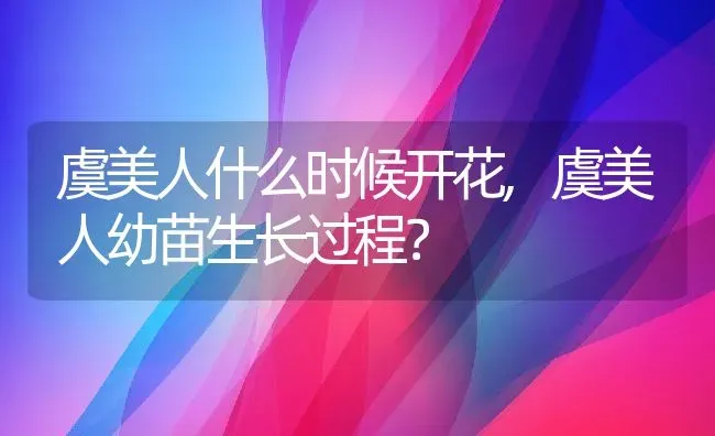 虞美人什么时候开花,虞美人幼苗生长过程？ | 养殖常见问题