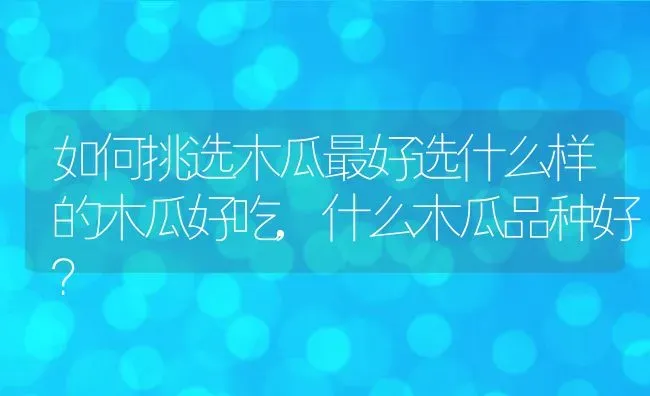 如何挑选木瓜最好选什么样的木瓜好吃,什么木瓜品种好？ | 养殖常见问题