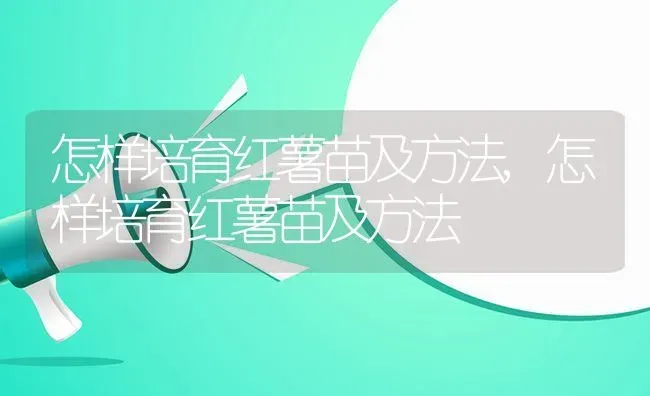 怎样培育红薯苗及方法,怎样培育红薯苗及方法 | 养殖常见问题
