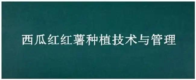 西瓜红红薯种植技术与管理 | 农业答疑