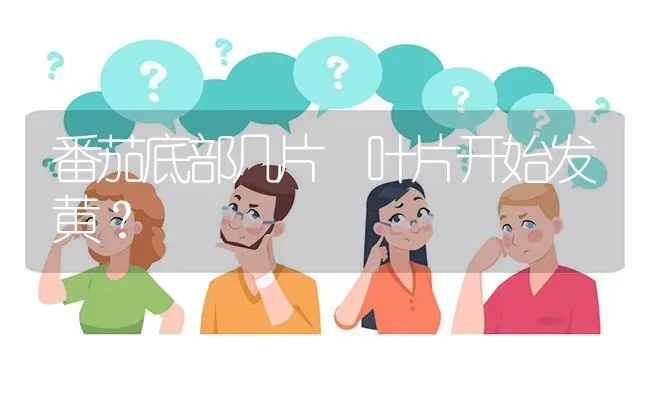 番茄底部几片 叶片开始发黄? | 养殖问题解答