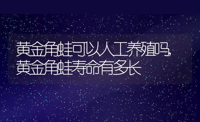 黄金角蛙可以人工养殖吗,黄金角蛙寿命有多长 | 养殖常见问题