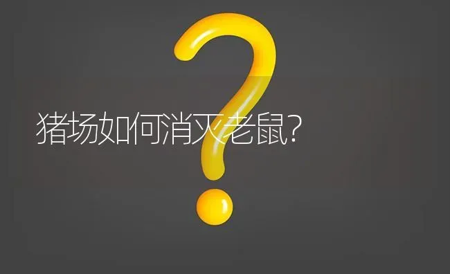 猪场如何消灭老鼠? | 养殖问题解答