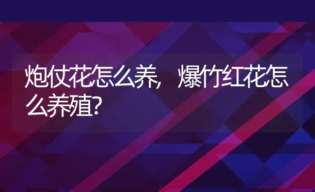 炮仗花怎么养,爆竹红花怎么养殖？ | 养殖常见问题