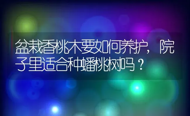 盆栽香桃木要如何养护,院子里适合种蟠桃树吗？ | 养殖常见问题