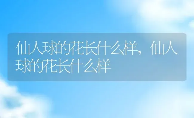 仙人球的花长什么样,仙人球的花长什么样 | 养殖常见问题