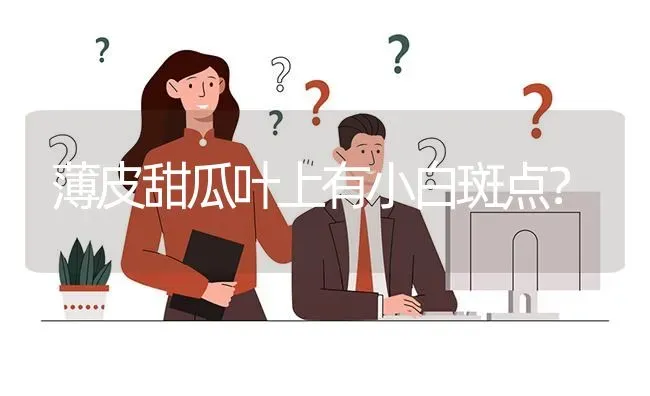 薄皮甜瓜叶上有小白斑点? | 养殖问题解答