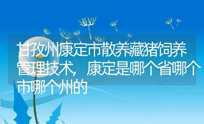 甘孜州康定市散养藏猪饲养管理技术,康定是哪个省哪个市哪个州的 | 养殖常见问题