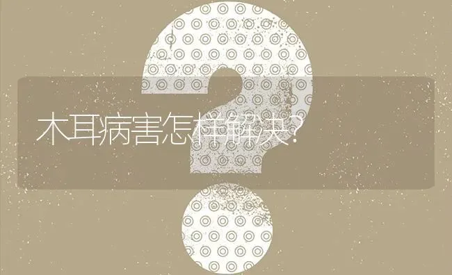 木耳病害怎样解决? | 养殖问题解答