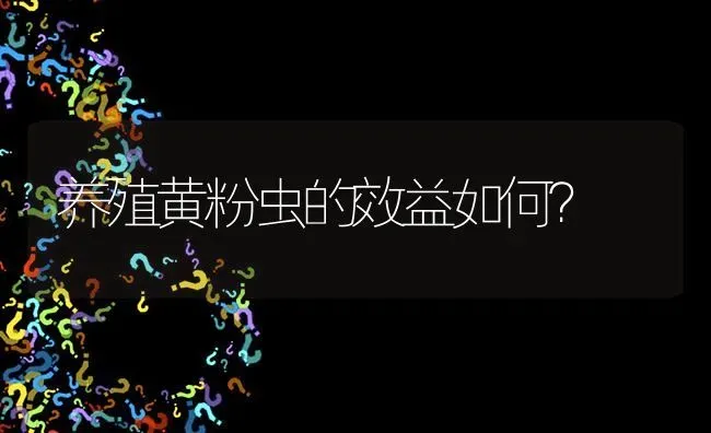 养殖黄粉虫的效益如何? | 养殖问题解答