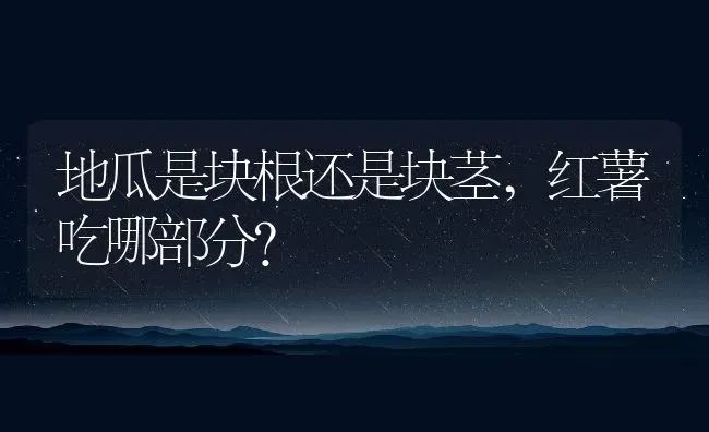 地瓜是块根还是块茎,红薯吃哪部分？ | 养殖常见问题