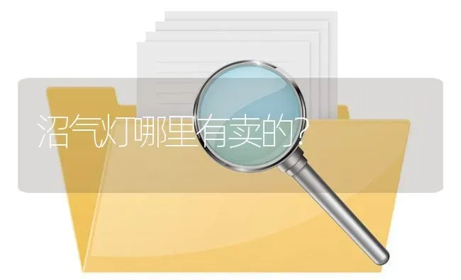 沼气灯哪里有卖的? | 养殖问题解答