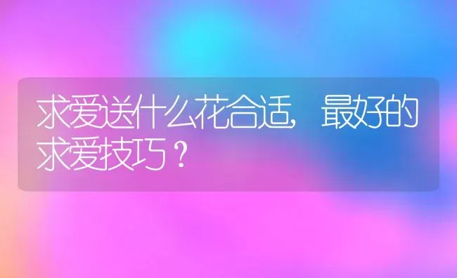 求爱送什么花合适,最好的求爱技巧？ | 养殖常见问题