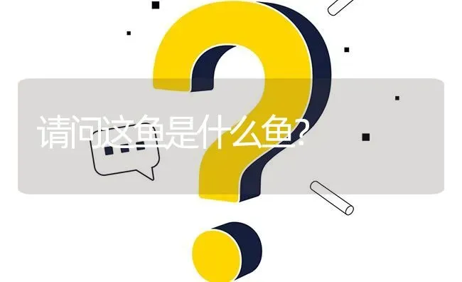 请问这鱼是什么鱼? | 养殖问题解答