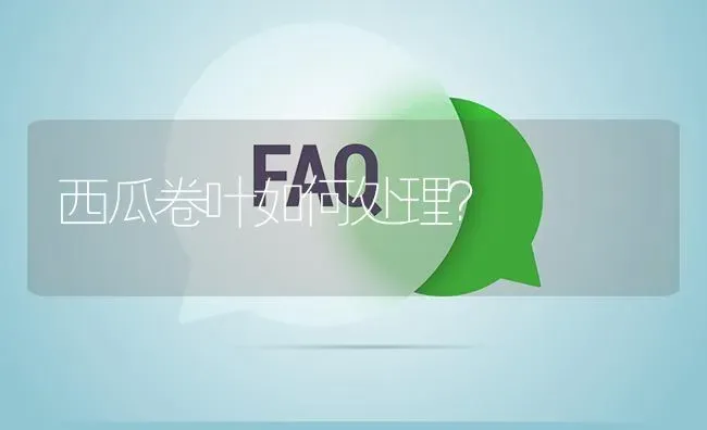 西瓜卷叶如何处理? | 养殖问题解答