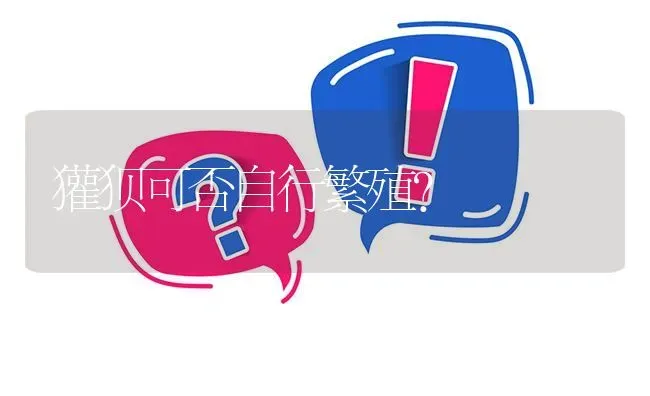 獾狈可否自行繁殖? | 养殖问题解答