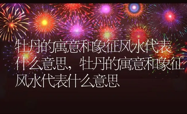 牡丹的寓意和象征风水代表什么意思,牡丹的寓意和象征风水代表什么意思 | 养殖常见问题