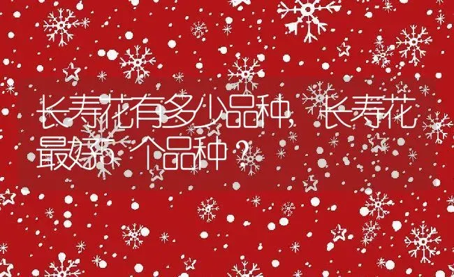 长寿花有多少品种,长寿花最好5个品种？ | 养殖常见问题