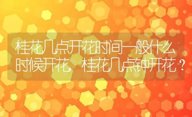 桂花几点开花时间一般什么时候开花,桂花几点钟开花？ | 养殖常见问题