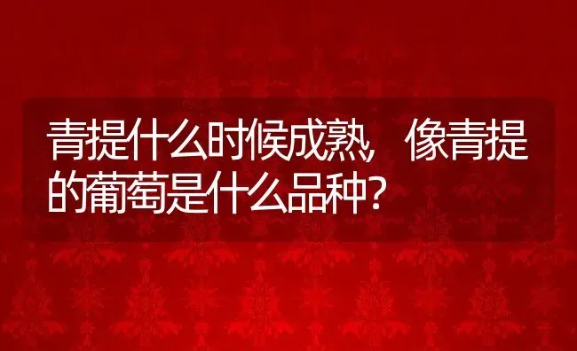 青提什么时候成熟,像青提的葡萄是什么品种？ | 养殖常见问题