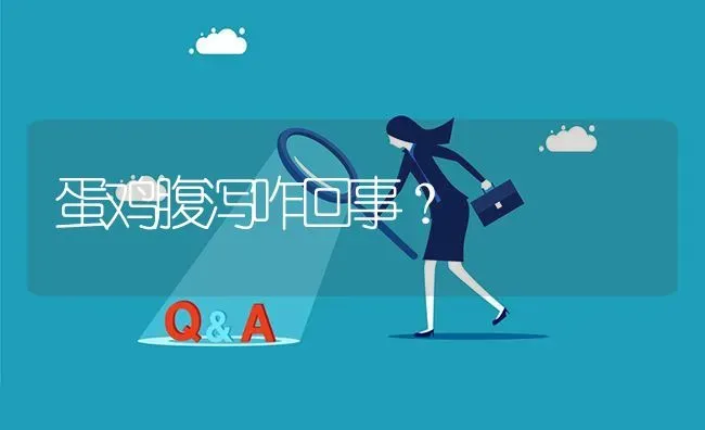 蛋鸡腹泻咋回事? | 养殖问题解答