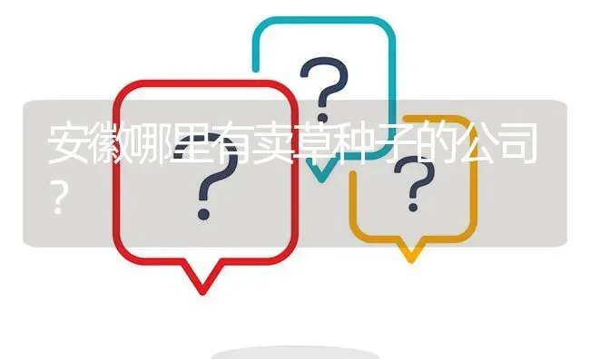 安徽哪里有卖草种子的公司? | 养殖问题解答