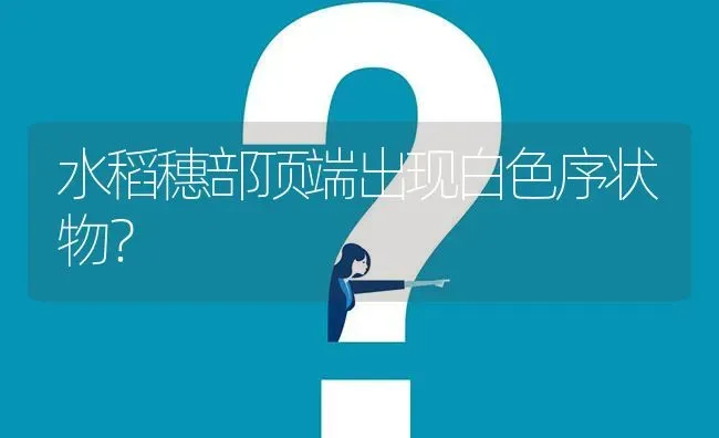 水稻穗部顶端出现白色序状物? | 养殖问题解答